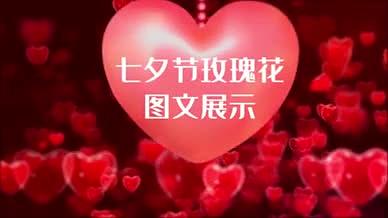 浪漫唯美七夕节爱心玫瑰花图文展示模板视频的预览图